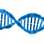 【案例解讀】蛋白組學iTRAQ和label-free的技術應用