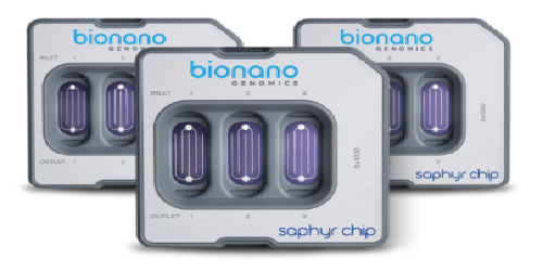 高容量Saphyr芯片 高容量Saphyr芯片