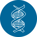 繪制GO、KEGG分類富集圖