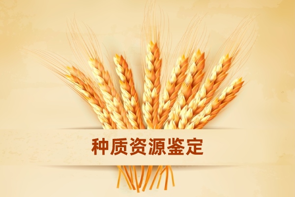 種質(zhì)資源精準(zhǔn)鑒定