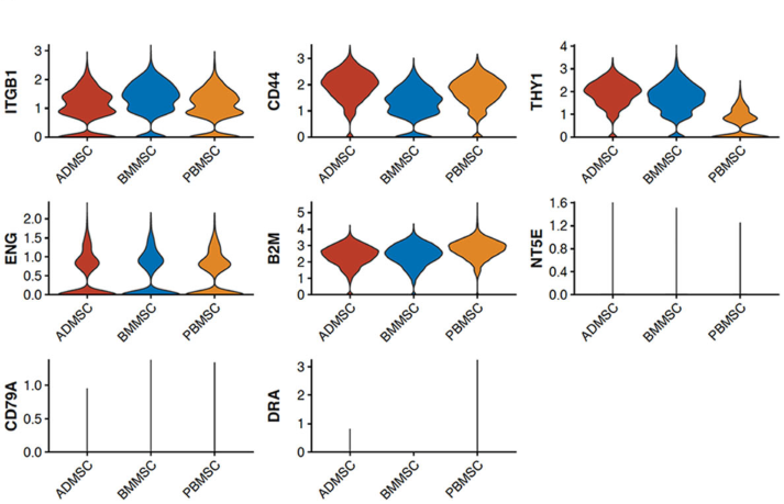 圖1從3個(gè)供者匹配的組織來源分離的馬間充質(zhì)基質(zhì)細(xì)胞(MSCs)的表征