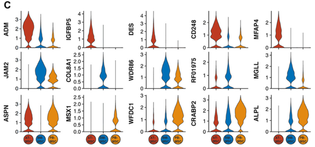 圖2單細(xì)胞RNA測(cè)序(sc?RNAseq)數(shù)據(jù)揭示了馬間充質(zhì)基質(zhì)細(xì)胞(MSCs)的源間變異
