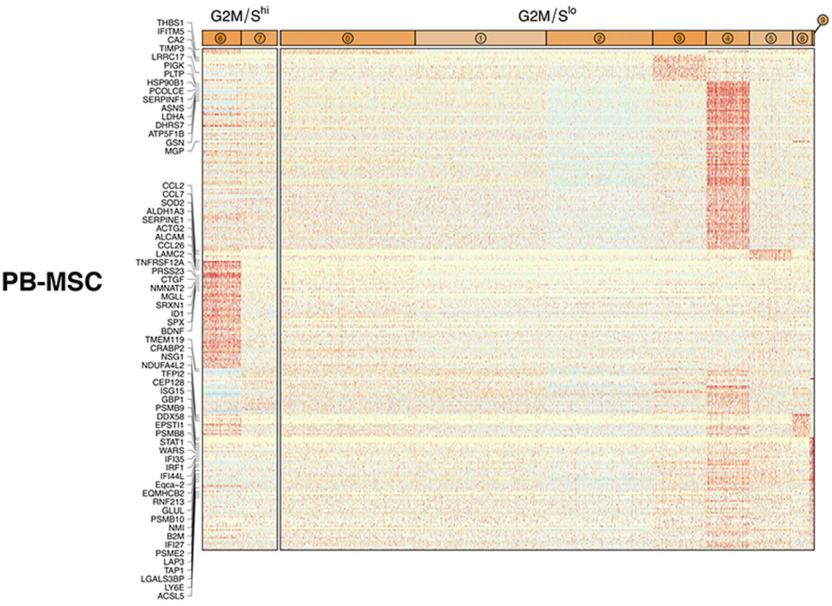 圖5從3個(gè)供體匹配組織來源分離的馬間充質(zhì)基質(zhì)細(xì)胞(MSCs)表現(xiàn)出源內(nèi)轉(zhuǎn)錄異質(zhì)性