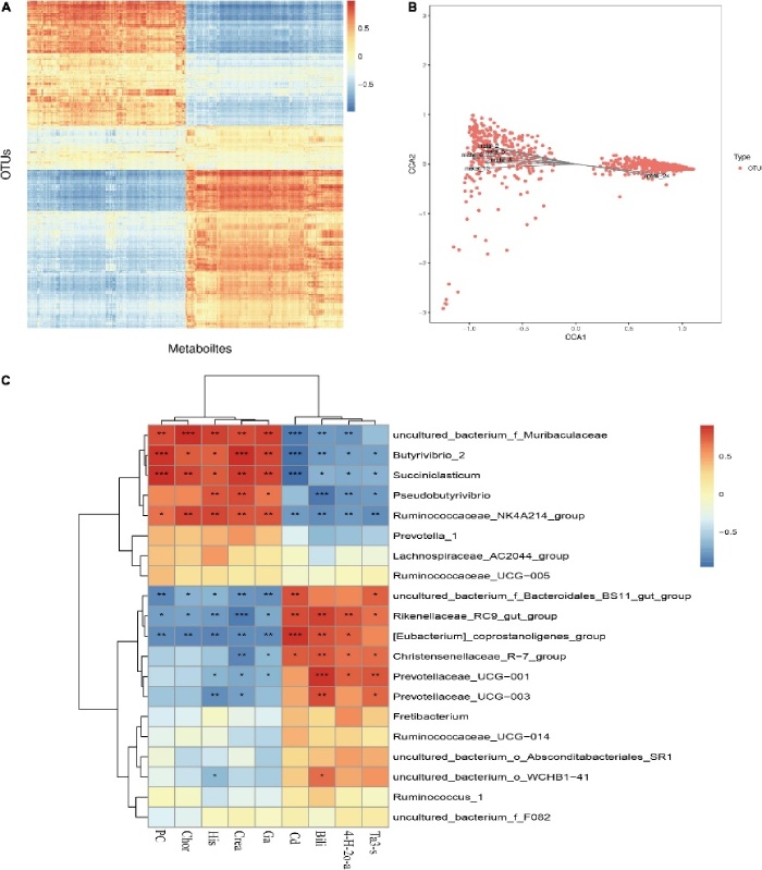 文章案例:瘤胃微生物和代謝物的相關(guān)性分析
