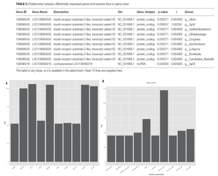 黃河鯉新品種和對照組 DEGs 與細菌(屬水平)的關系