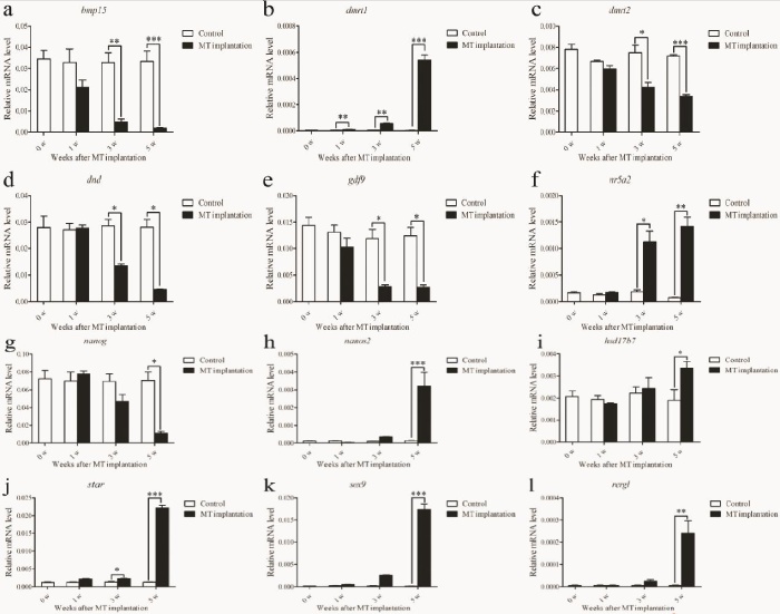 圖 8 RT-qPCR 驗證性逆轉(zhuǎn)期間所選基因的表達