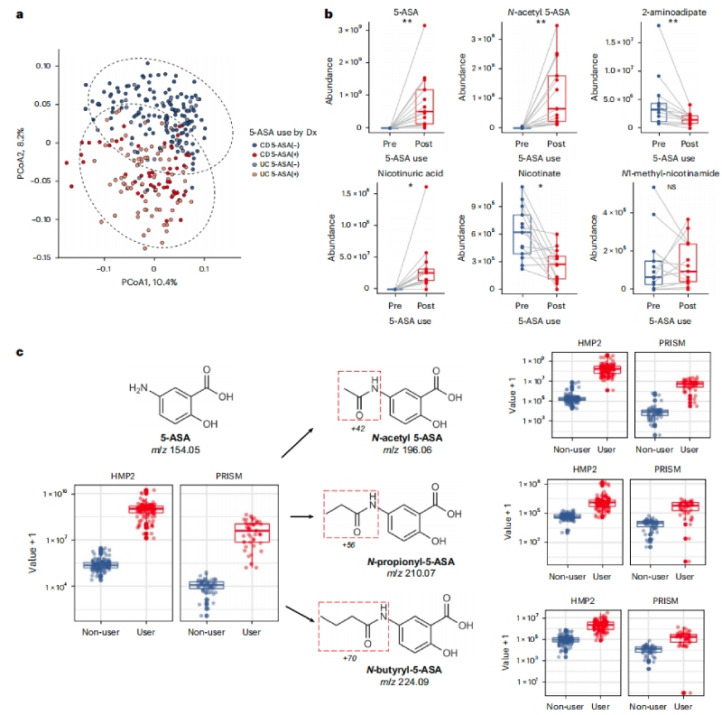 5-ASA可直接影響糞便代謝組，并通過微生物組進(jìn)行生物轉(zhuǎn)化