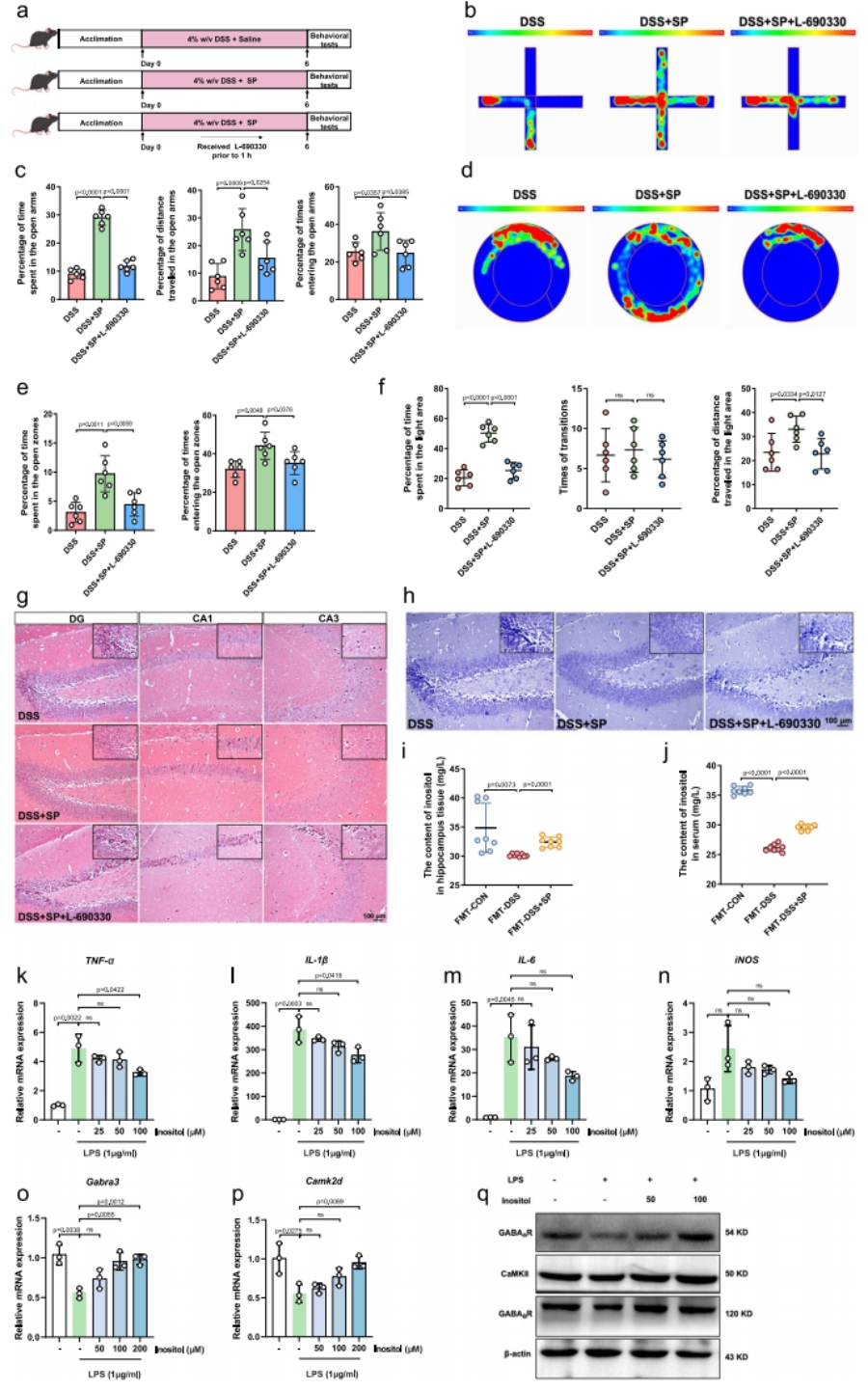 圖9 肌醇在SP對(duì)DSS誘導(dǎo)小鼠焦慮樣行為的作用中發(fā)揮關(guān)鍵作用