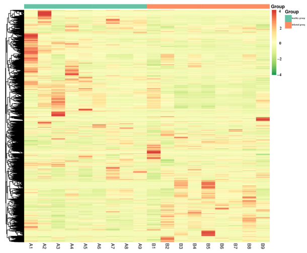 圖7 差異代謝物熱圖
