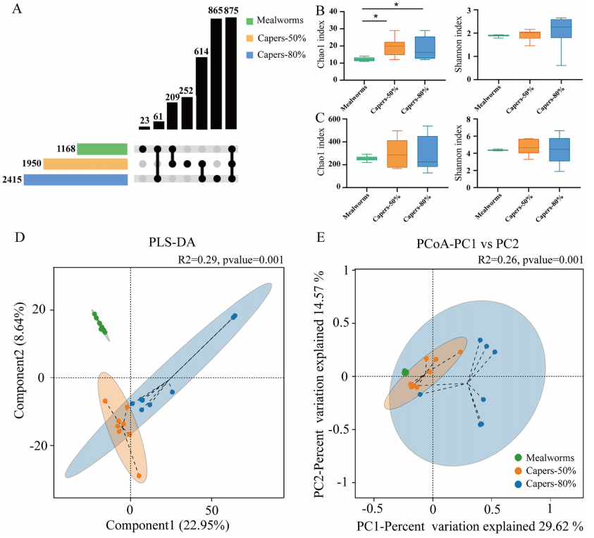 圖2 以T. roborowskii為食的粉蟲或基于刺山柑的飼料中的微生物群多樣性